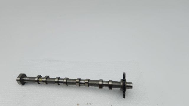 Árvore distribuidora de motor de escape 06H109022BA VAG