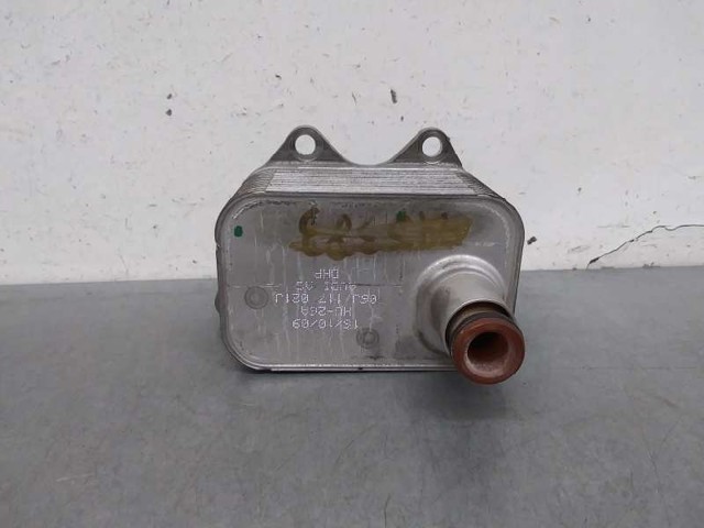 Radiador de óleo (frigorífico), debaixo de filtro 06J117021J VAG