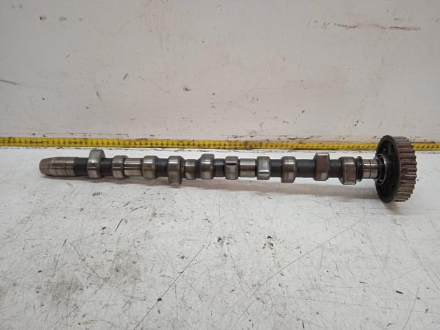 Árvore distribuidora de motor 074109101J VAG