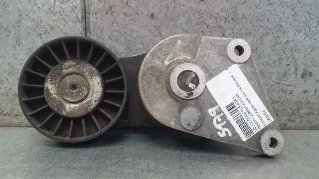 Rolo de reguladora de tensão da correia do mecanismo de distribuição de gás 082954 PEUGEOT