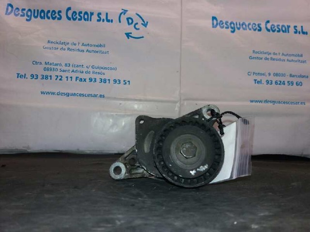 083061 Peugeot/Citroen