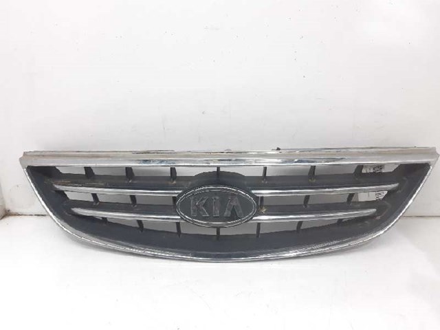 Grelha do radiador KIA Carens FJ ao melhor preço