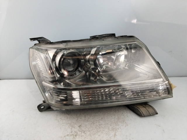 10059079 Suzuki