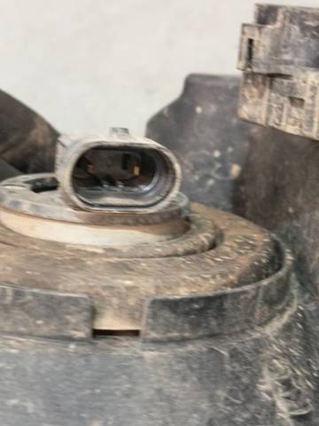 10059079 Suzuki