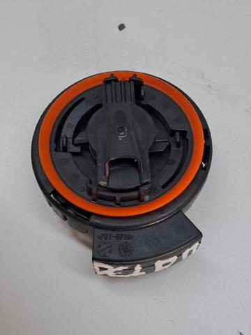 103676200A Tesla