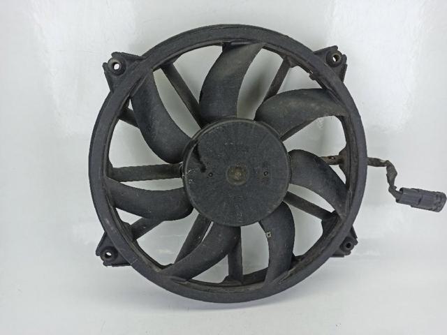 1049874716T Peugeot/Citroen