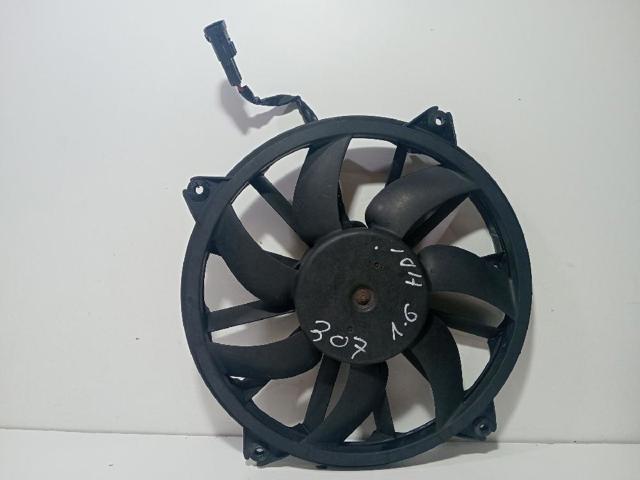 1049874716T Peugeot/Citroen
