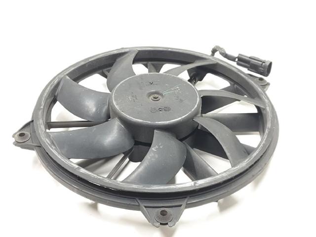 1049874716T Peugeot/Citroen