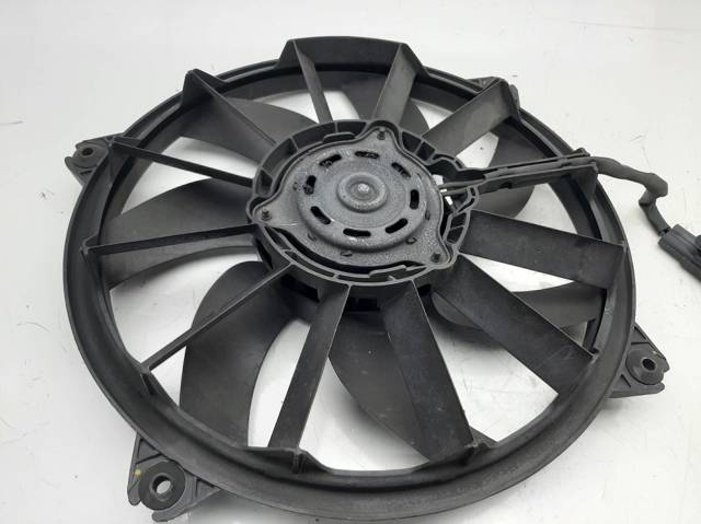 1049874716T Peugeot/Citroen