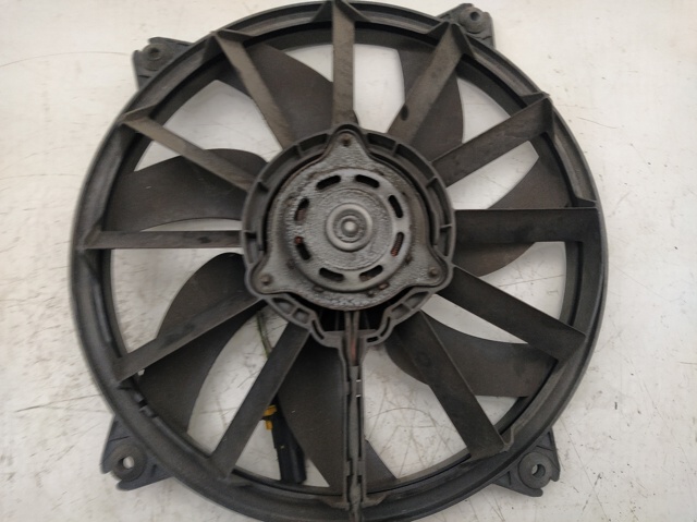 1049874716T Peugeot/Citroen