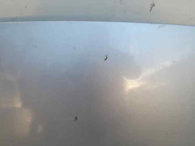 Capota 1077566 FORD