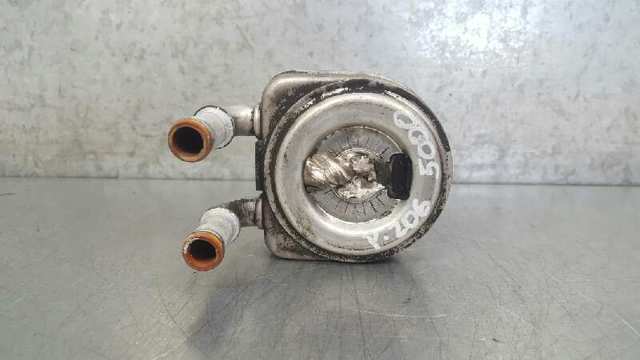 1103N0 Peugeot/Citroen