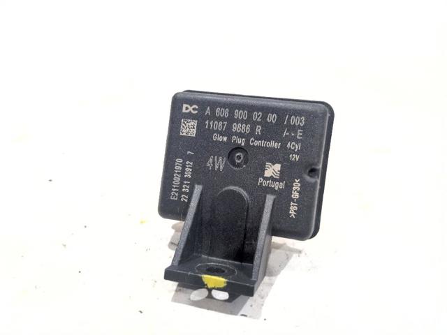 110679886R Renault (RVI)