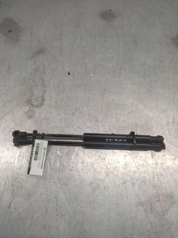 Amortecedor de tampa de porta-malas (de 3ª/5ª porta traseira) 113000013 MERCEDES