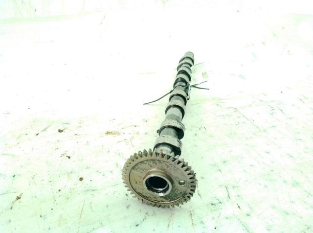 Árvore distribuidora de motor de admissão 11318575435 BMW