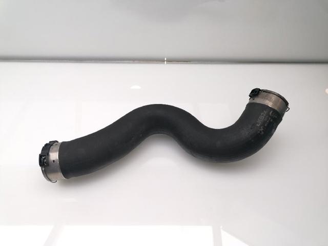 11618513851 BMW