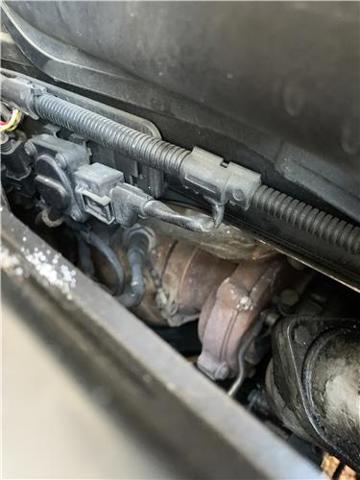11657796312 BMW