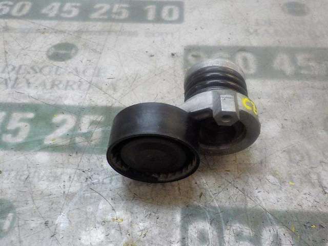 117501113R Renault (RVI)
