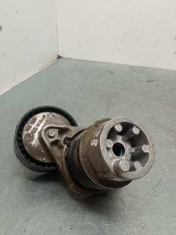 Reguladora de tensão da correia de transmissão 117506193R RENAULT