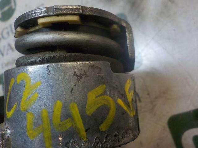 117509654R Renault (RVI)