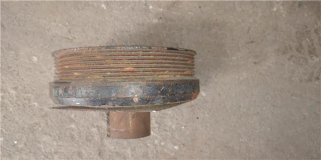 Polia de cambota 123032W204 NISSAN