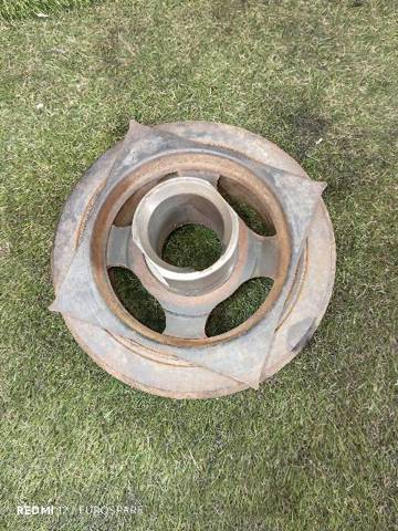 Polia de cambota 123032W204 NISSAN