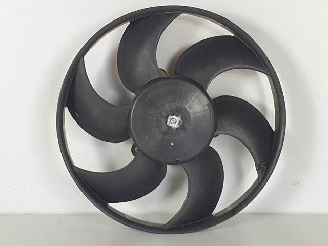 125366 Peugeot/Citroen