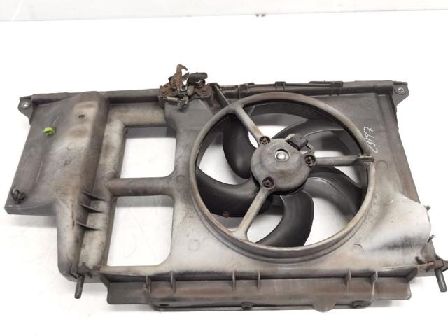 1253E0 Peugeot/Citroen