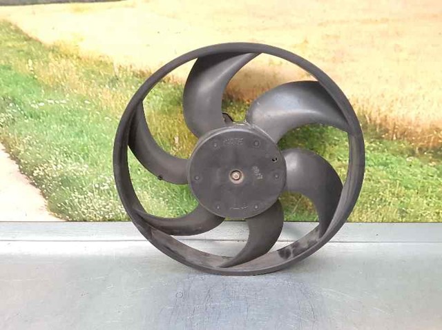 1253H4 Peugeot/Citroen