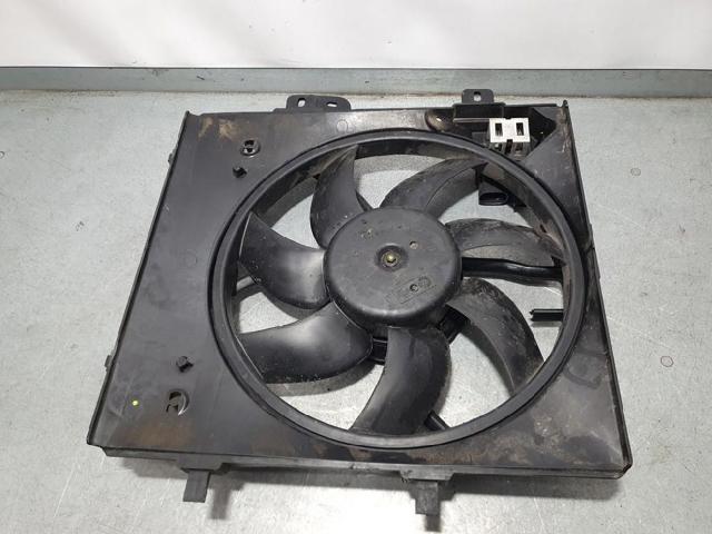 1253H4 Peugeot/Citroen
