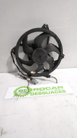 1253N5 Peugeot/Citroen