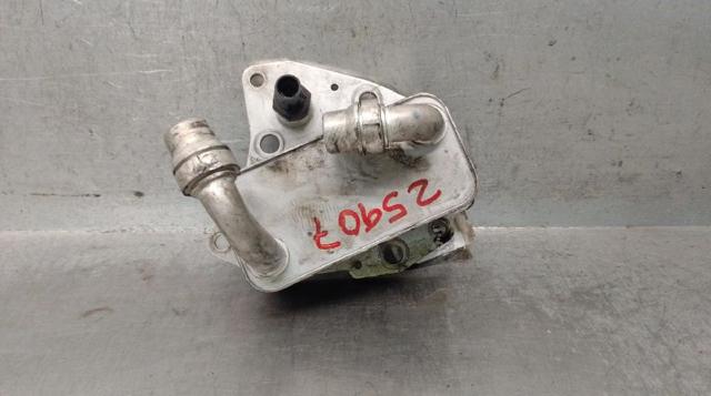 Radiador de óleo 12572837 GM