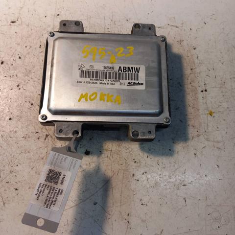 Módulo de direção (Centralina eletrônica) de motor 12668866 OPEL