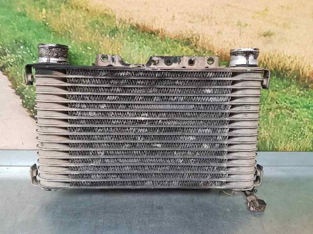 1271000421 Mitsubishi