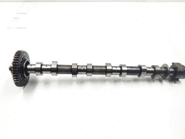 Engrenagem de cadeia de roda dentada da árvore distribuidora de admissão de motor 130248198R RENAULT