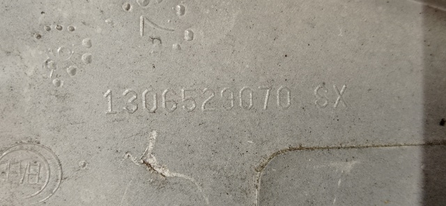 1306529070 Peugeot/Citroen