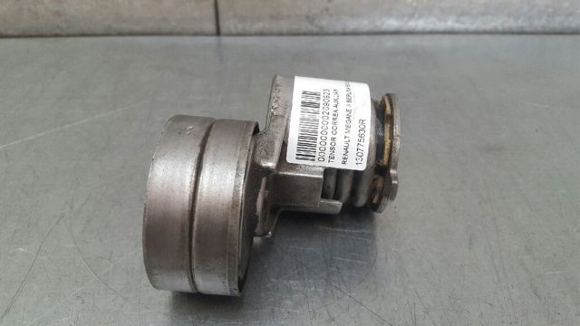Rolo parasita da correia do mecanismo de distribuição de gás 130775630R RENAULT