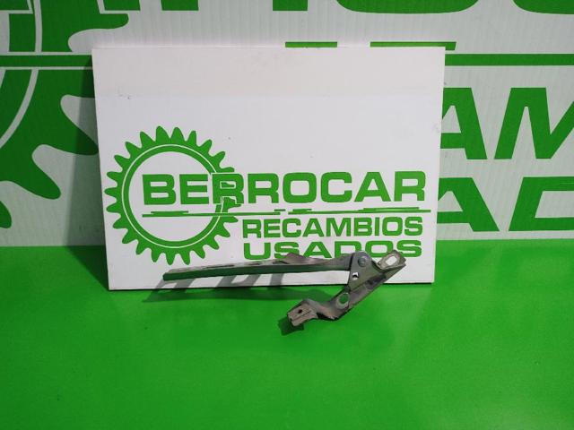 Gozno da capota esquerdo 13224576 OPEL