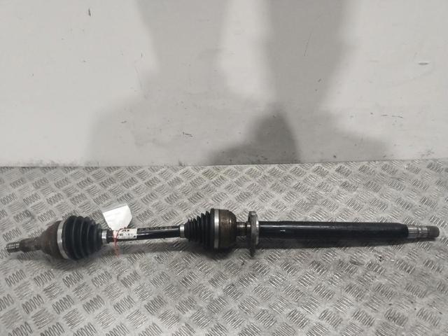 13247218 Opel