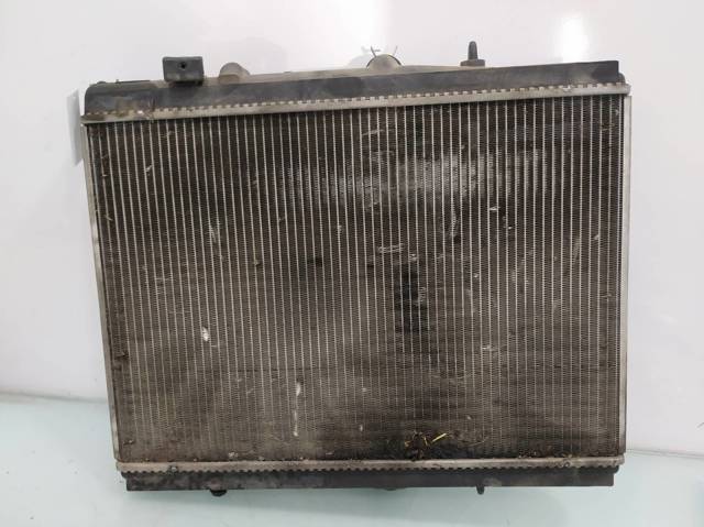 133063 Peugeot/Citroen