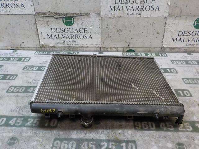 1330W2 Peugeot/Citroen