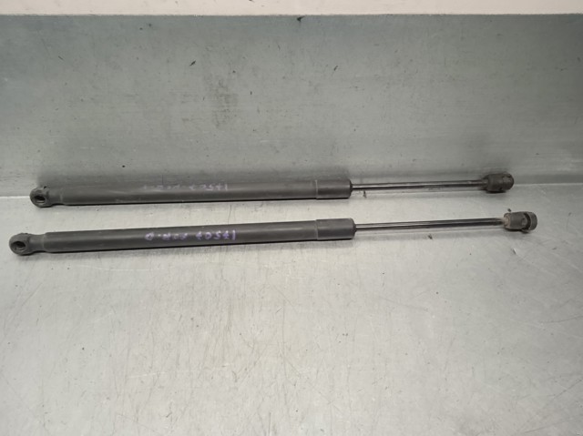 Amortecedor de tampa de porta-malas (de 3ª/5ª porta traseira) 13321298 OPEL