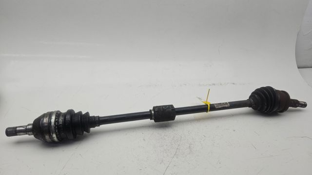 13356124 Opel