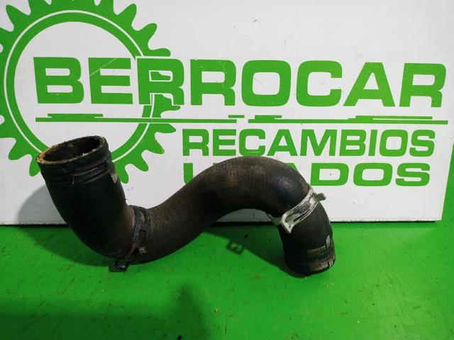 Mangueira (cano derivado) do radiador de esfriamento superior 1343Z3 PEUGEOT