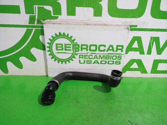 Mangueira (cano derivado) inferior do radiador de esfriamento 13455234 OPEL