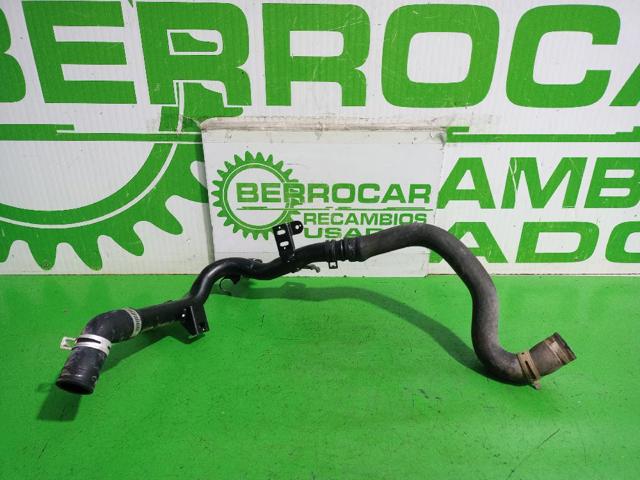 Mangueira (cano derivado) do termostato 1351CL PEUGEOT