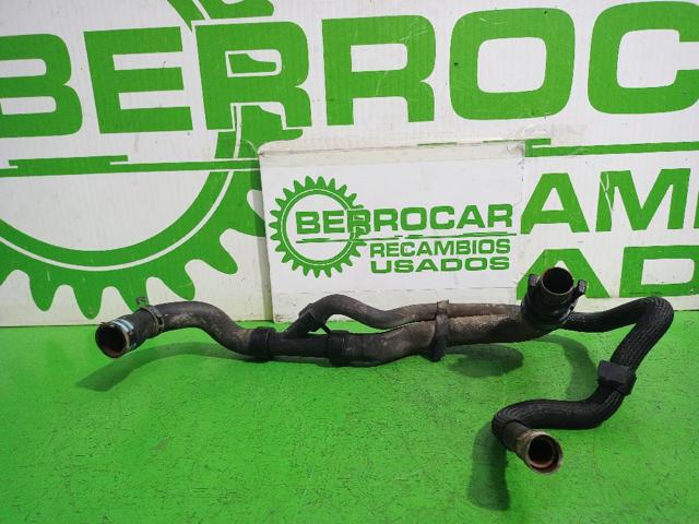 Mangueira (cano derivado) do radiador de esfriamento superior 1351V8 PEUGEOT