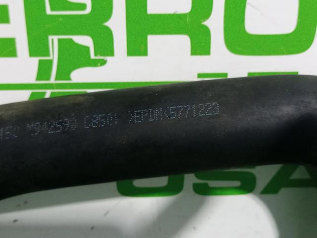 Mangueira (cano derivado) inferior do radiador de esfriamento 1351Y7 PEUGEOT