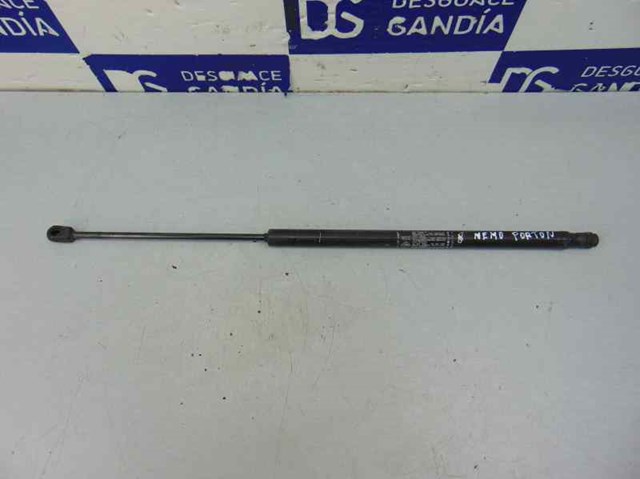 Amortecedor de tampa de porta-malas (de 3ª/5ª porta traseira) 1354844080 PEUGEOT