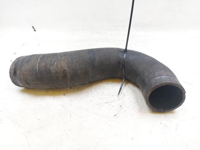 Mangueira (cano derivado) de intercooler 1379294080 PEUGEOT